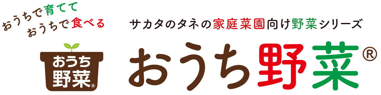 おうちで育てて、おうちで食べる 家庭菜園向け野菜シリーズ おうち野菜(R)