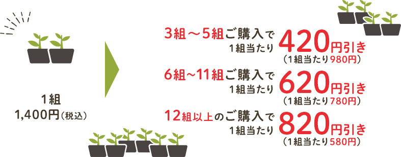 通常1組1,400円（税込）のところ、3～5組ご購入で1組当たり617円引き、6～11組ご購入で1組当たり737円引き、12組以上のご購入で1組当たり902円引き！