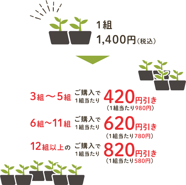 通常1組1,400円（税込）のところ、3～5組ご購入で1組当たり617円引き、6～11組ご購入で1組当たり737円引き、12組以上のご購入で1組当たり902円引き！