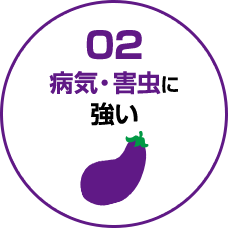 02:病気・害虫に強い