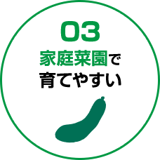03:家庭菜園で育てやすい