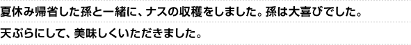 夏休み帰省した孫と一緒に、ナスの収穫をしました。孫は大喜びでした。天ぷらにして、美味しくいただきました。