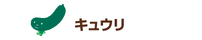 キュウリ