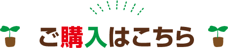 ご購入はこちら