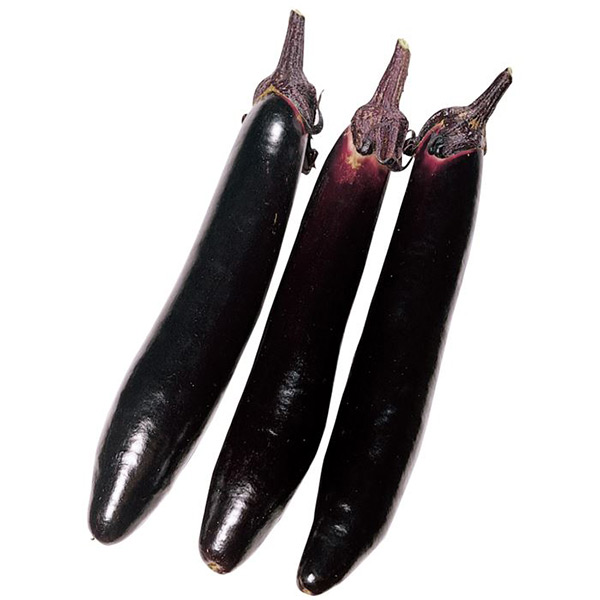 イチ押しナス品種 飛天長