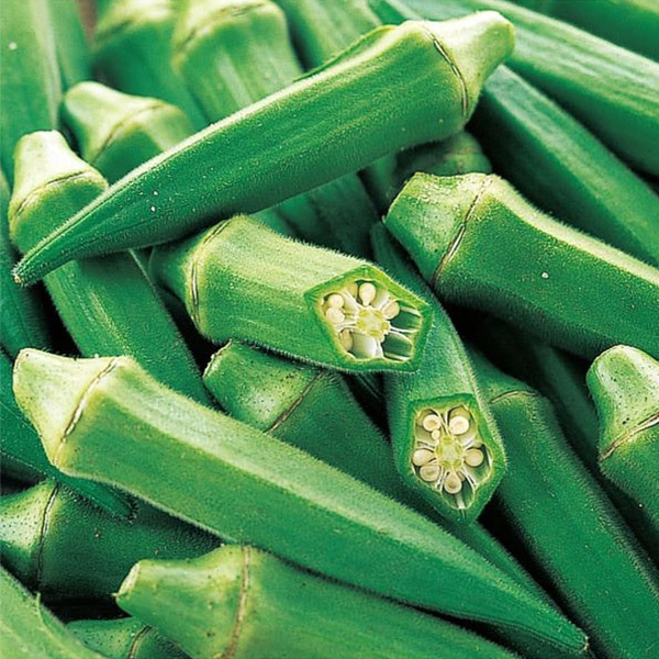 イチ押しオクラ品種 ピークファイブ