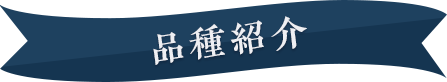 品種紹介