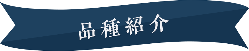 品種紹介