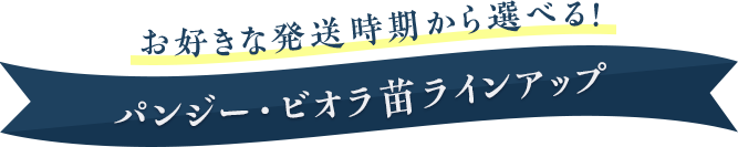 お好きな発送時期から選べる！パンジー・ビオラ苗ラインアップ