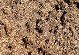 完熟堆肥をたっぷり入れた畑