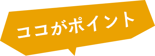 ココがポイント