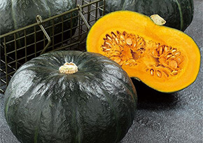 栗カボチャ ブラックのジョー®