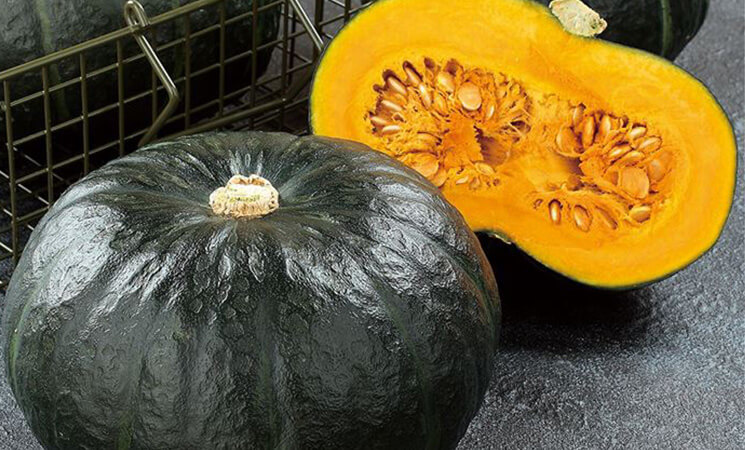 栗カボチャ ブラックのジョー®
