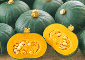 ミニカボチャ 栗っプチ
