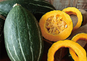 スイーツカボチャ スイートタックル