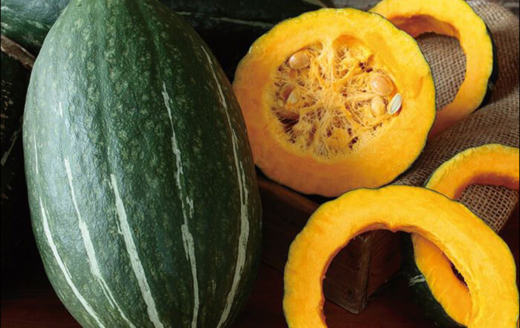 スイーツカボチャ スイートタックル