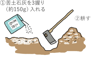 ①苦土石灰を3握り（約150g）入れる ②耕す