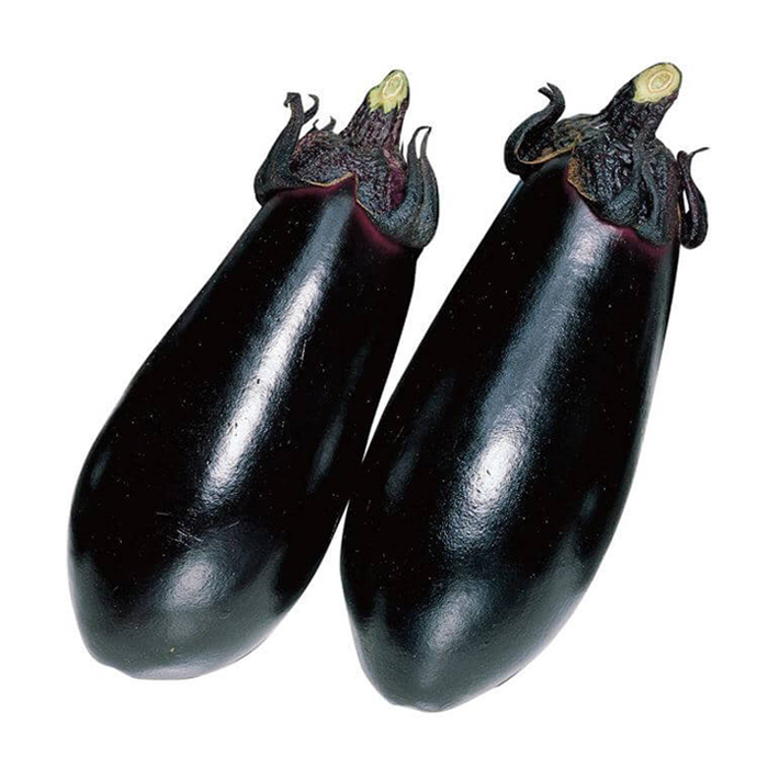 中長ナス「黒福」