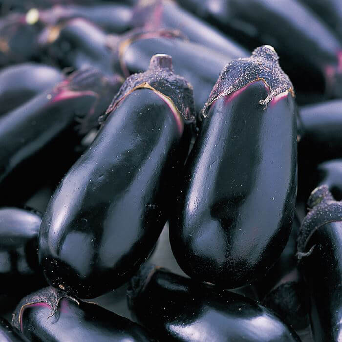 水ナス系「ごちそう」