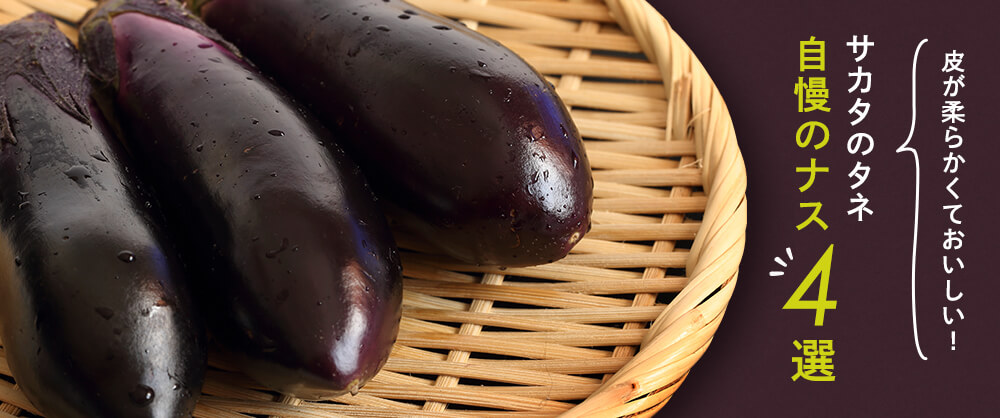 皮がやわらかくおいしい！サカタのタネ自慢のナス4選