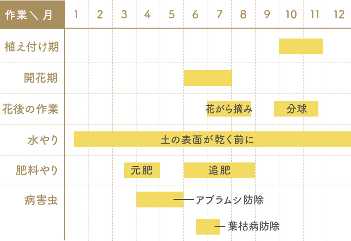ユリの栽培カレンダー（関東標準）
