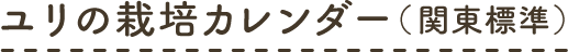 ユリの栽培カレンダー（関東標準）