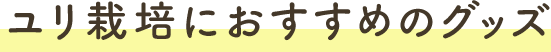 ユリ栽培におすすめのグッズ