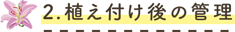 2.植え付け後の管理