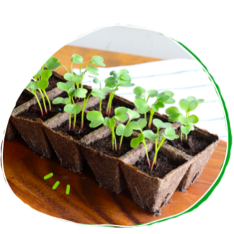 環境にやさしい