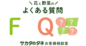 WEBでお悩み相談