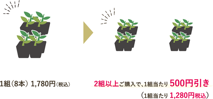 1組（8本）1780円（税込）のところ、2組以上ご注文で1組当たり500円引き（1組当たり1280円（税込））
