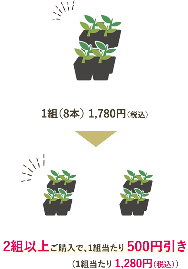 1組（8本）1780円（税込）のところ、2組以上ご注文で1組当たり500円引き（1組当たり1280円（税込））