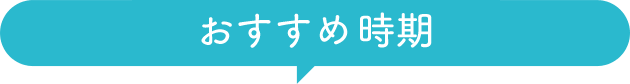 おすすめ時期