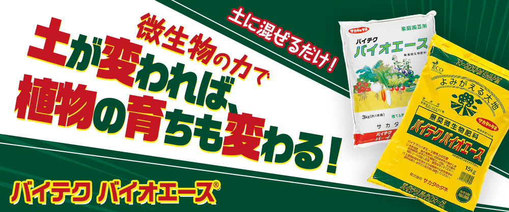微生物の力で土が変われば植物の育ちも変わる！バイテク バイオエース