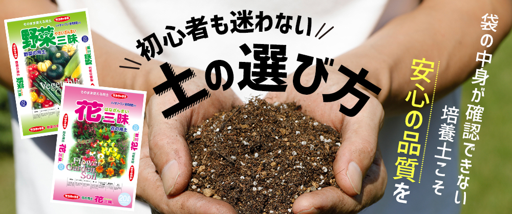 初心者も迷わない土の選び方