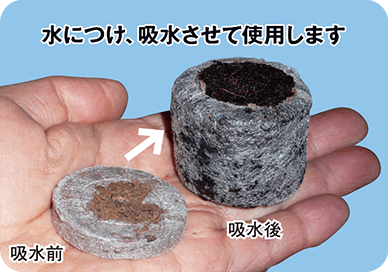 水につけ、吸水させて使用します