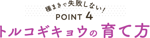 種まきで失敗しない! POINT4 トルコギキョウの育て方
