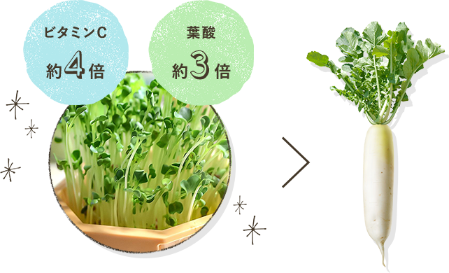 ビタミンC 約4倍/葉酸 約3倍