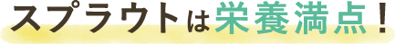 スプラウトは栄養満点!