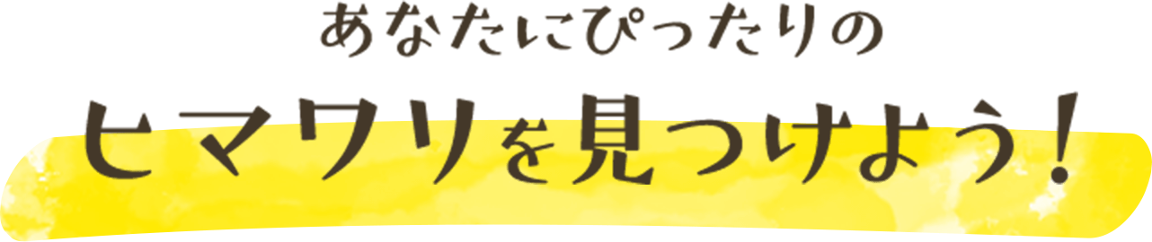 あなたにぴったりのヒマワリを見つけよう！