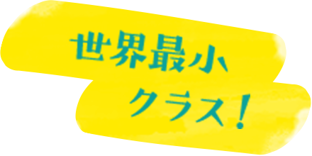 世界最小クラス！