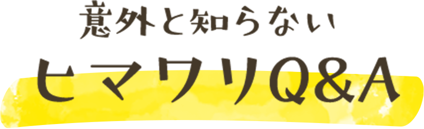 意外と知らないヒマワリQ&A