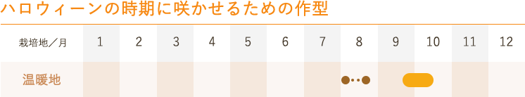 ハロウィーンの時期に咲かせるための作型