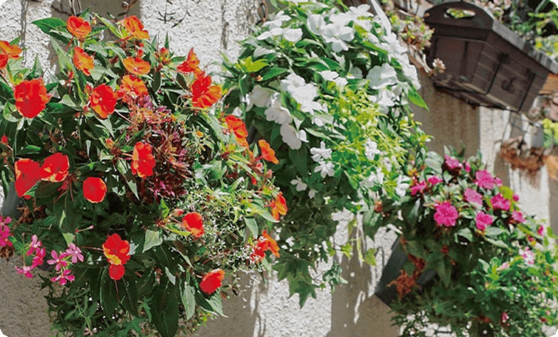 サンパティオの寄せ植えハンギングイメージ