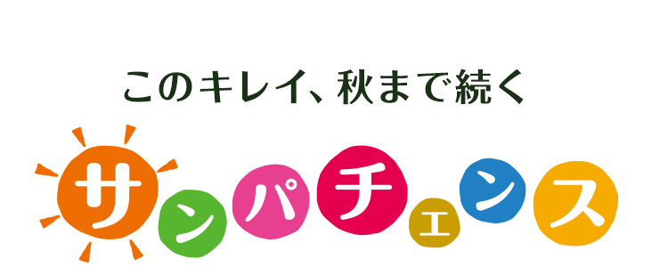 このキレイ、秋まで続く サンパチェンス(R) [花言葉：太陽のように輝く笑顔]