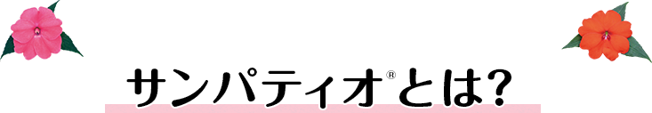 サンパティオとは?