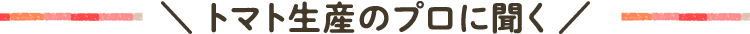 トマト生産のプロに聞く