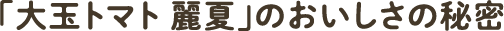 「大玉トマト 麗夏」のおいしさの秘密