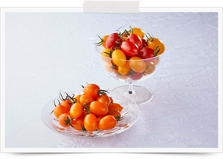 アイコシリーズ