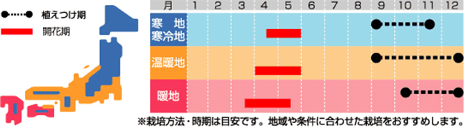 栽培カレンダー